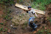 Work of Little Hands: A boy carries timber destined for a mine tunnel in the Philippines