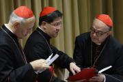Cardinals Tagle and Assis talk before morning session of synod