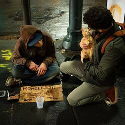 a man is seated on the ground with a cardboard sign that reads "homeless please help" and a man crouches holding a kitten next to him