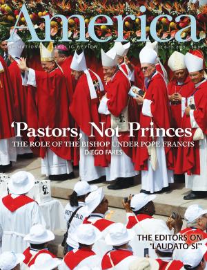 'Pastors, Not Princes'