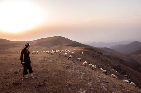 A man standing on top of a hill next to a herd of sheep