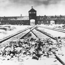 I Ask the Holy One: Remembering the Holocaust