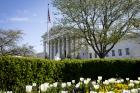 The U.S. Supreme Court in Washington seen on April 5, 2017. (CNS photo/Tyler Orsburn)