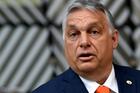 Hungarian Prime Minister Viktor Orbán addresses the media as he arrives on the first day of the European Union summit in Brussels, Belgium, June 24, 2021. Pope Francis is scheduled to meet with Orbán Sept. 12 after celebrating the final Mass of the International Eucharistic Congress. (CNS photo/John Thys, Reuters pool)