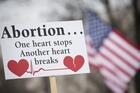 A pro-life sign is displayed during the 2019 annual March for Life rally in Washington. (CNS photo/Tyler Orsburn)