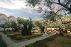 Gethsemane Garden, Mount of Olives