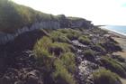 Rapidly thawing Arctic permafrost and coastal erosion on the Beaufort Sea, Arctic Ocean, near Point Lonely, AK. Photo Taken in August, 2013.