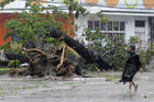 Super Typhoon Haiyan Strikes Cebu, Philippines