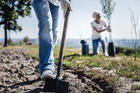 Besides military service, programs involving parks infrastructure would also be natural options. (iStock/yacobchuk) 