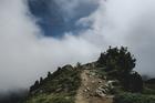 Green mountaintop