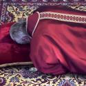 Pope Francis lies prostrate at the beginning of the Good Friday liturgy in St. Peter's Basilica at the Vatican April 3. (CNS photo/Stefano Spaziani, pool) 