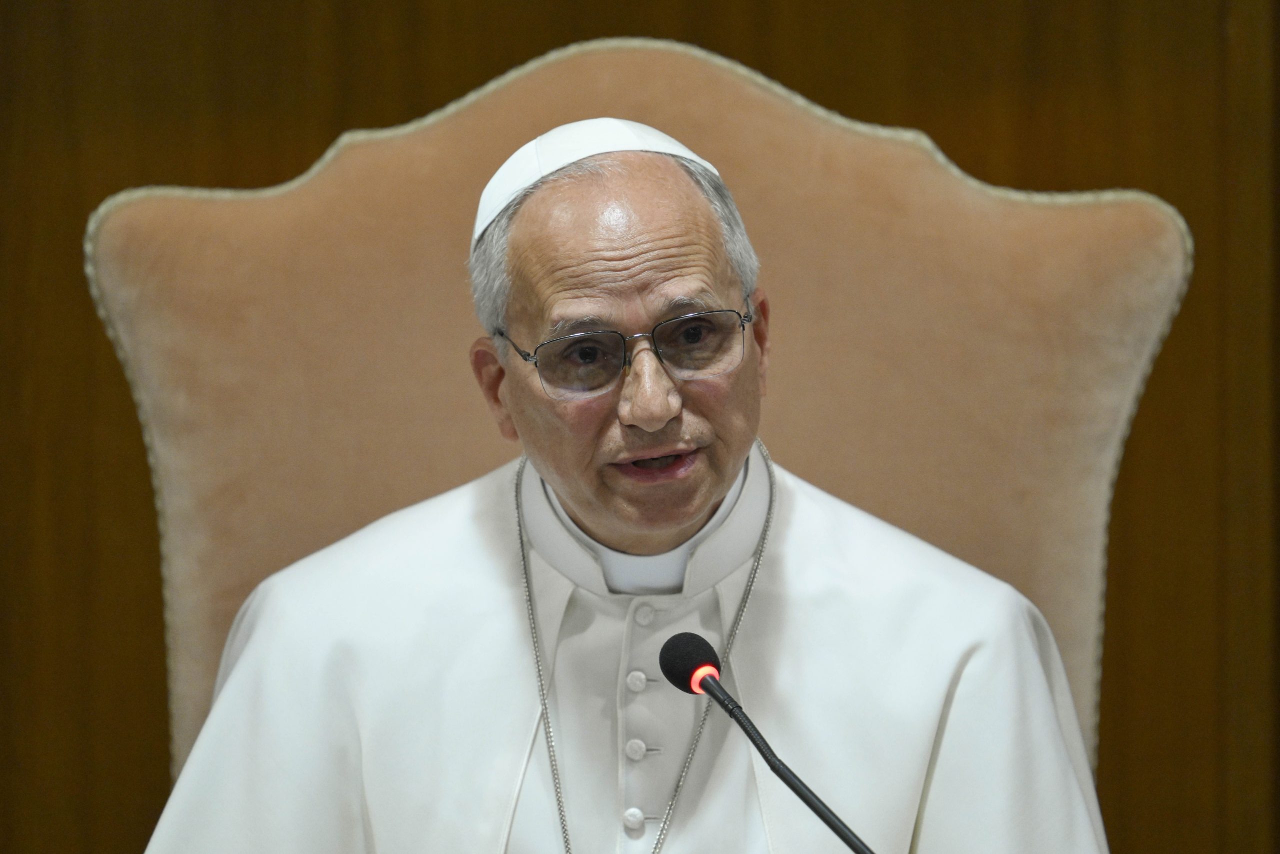 Pope Leo issues plea for Gaza assistance