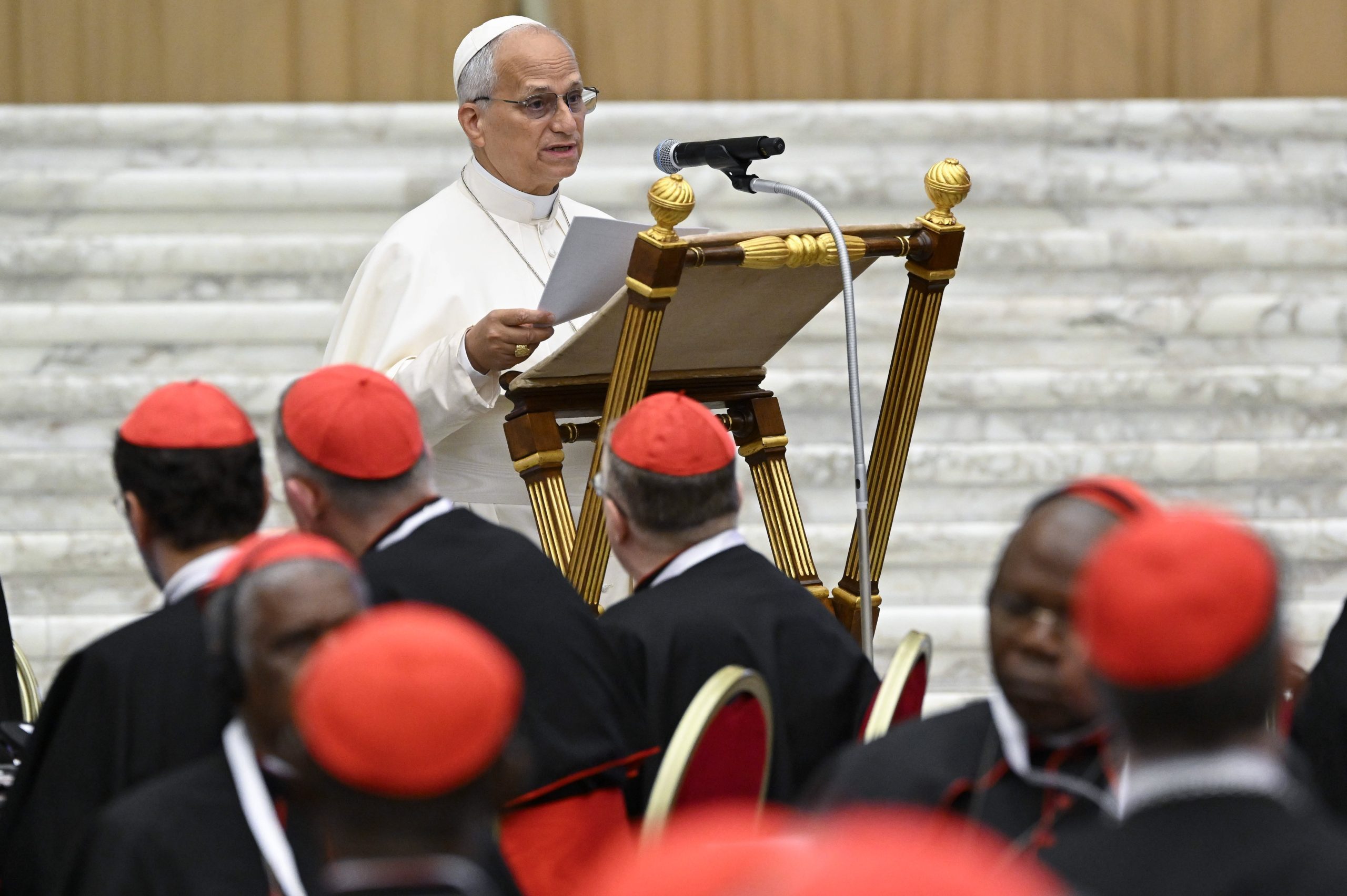 Pope Leo issues challenge to cardinals gathered in Rome: ‘Learn synodality by practicing it'
