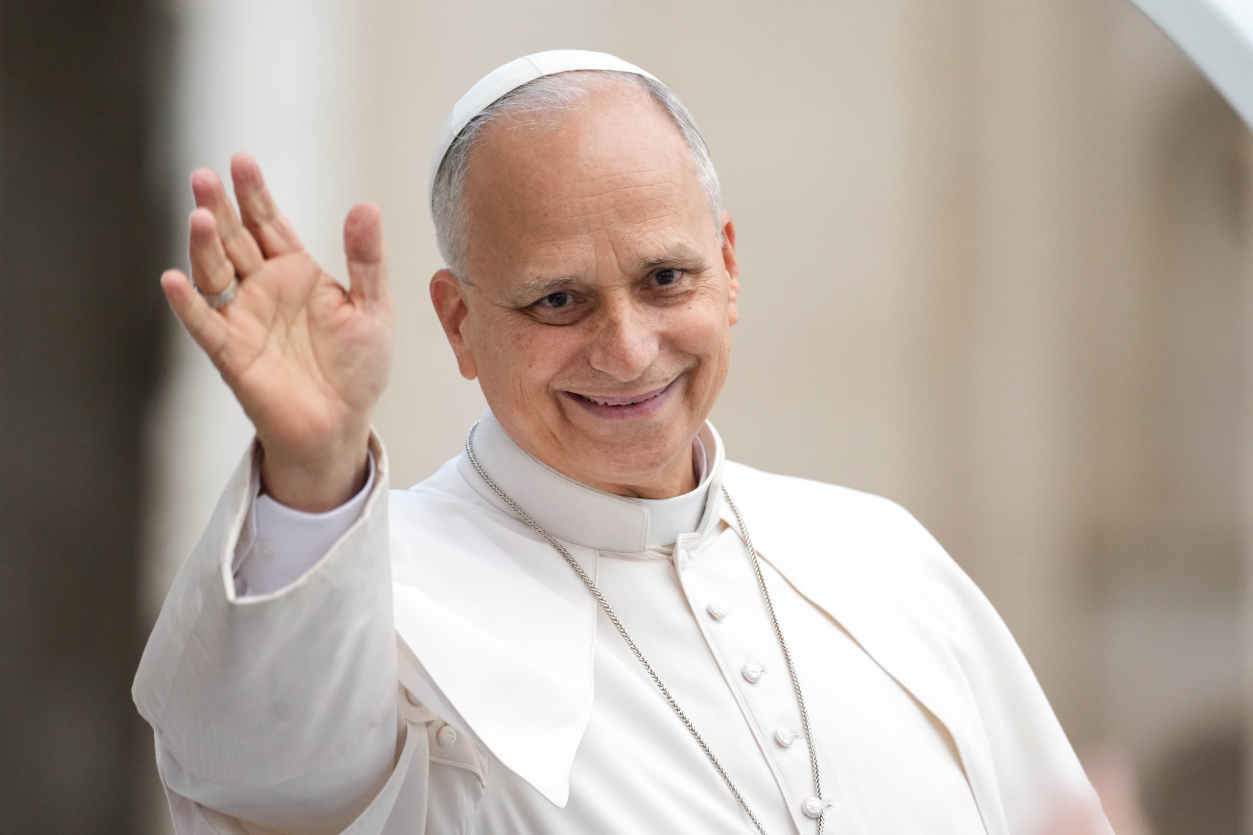 Pope Leo needs no further cancer treatment, doctors say
